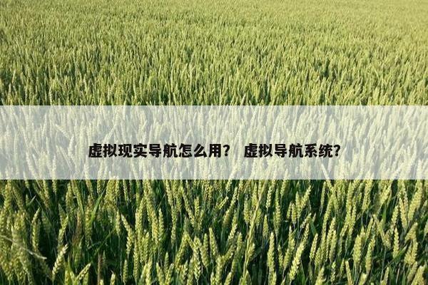 虚拟现实导航怎么用？ 虚拟导航系统？