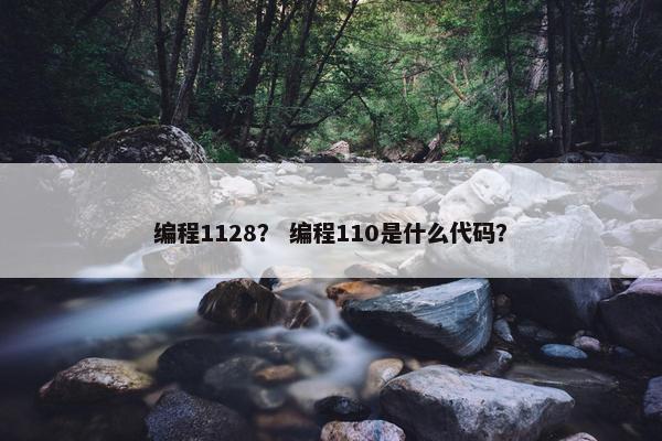 编程1128? 编程110是什么代码? 编程1128? 编程110是什么代码?