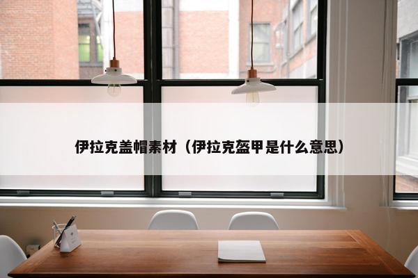 伊拉克盖帽素材（伊拉克盔甲是什么意思）