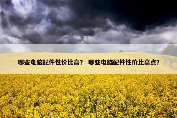 哪些电脑配件性价比高？ 哪些电脑配件性价比高点？