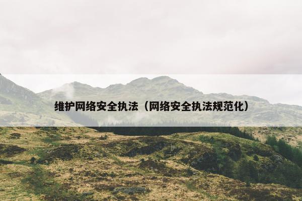 维护网络安全执法（网络安全执法规范化）
