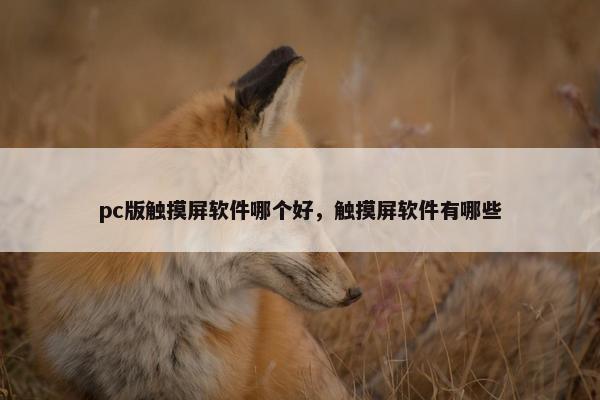 pc版触摸屏软件哪个好，触摸屏软件有哪些