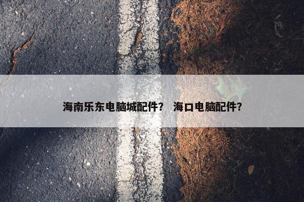 海南乐东电脑城配件？ 海口电脑配件？