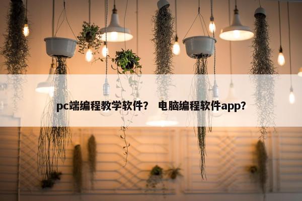 pc端编程教学软件？ 电脑编程软件app？