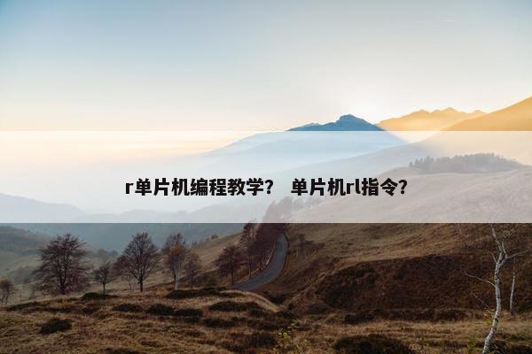 r单片机编程教学？ 单片机rl指令？