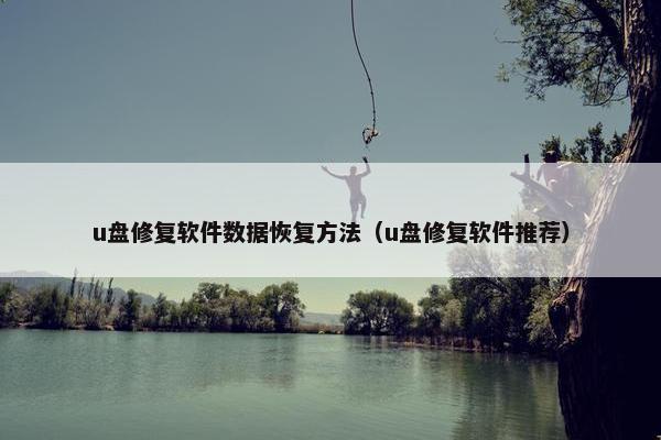 u盘修复软件数据恢复方法（u盘修复软件推荐）