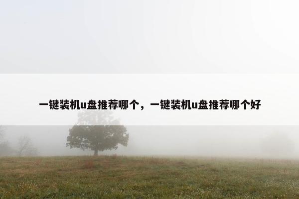 一键装机u盘推荐哪个，一键装机u盘推荐哪个好