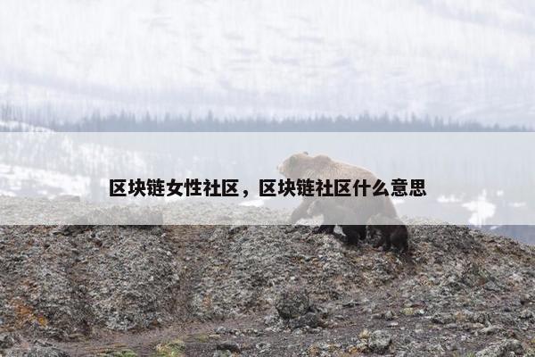 区块链女性社区,区块链社区什么意思 区块链女性社区,区块链社区什么意思