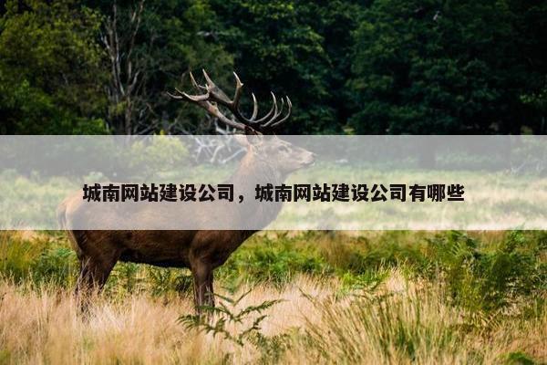 城南网站建设公司，城南网站建设公司有哪些