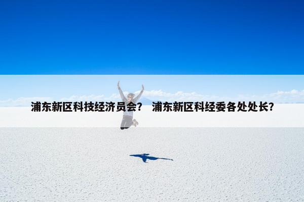 浦东新区科技经济员会？ 浦东新区科经委各处处长？