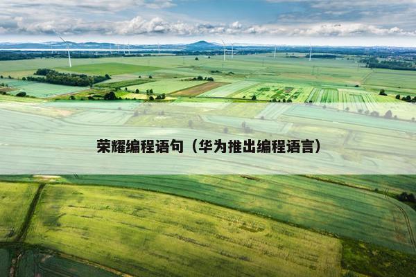 荣耀编程语句(华为推出编程语言) 荣耀编程语句(华为推出编程语言)