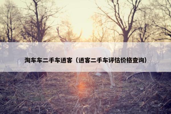 淘车车二手车逍客（逍客二手车评估价格查询）