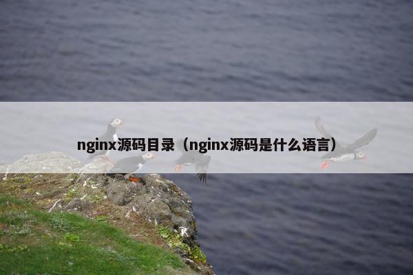 nginx源码目录（nginx源码是什么语言）