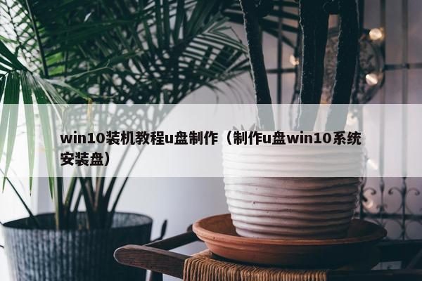 win10装机教程u盘制作（制作u盘win10系统安装盘）