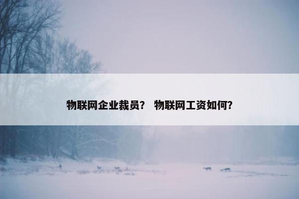 物联网企业裁员? 物联网工资如何? 物联网企业裁员? 物联网工资如何?