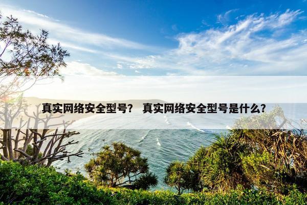 真实网络安全型号？ 真实网络安全型号是什么？