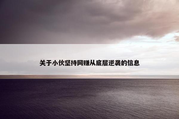 关于小伙坚持网赚从底层逆袭的信息