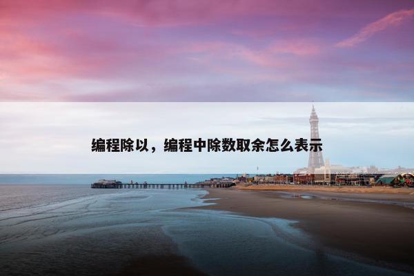 编程除以，编程中除数取余怎么表示