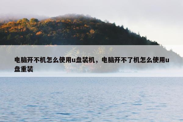 电脑开不机怎么使用u盘装机，电脑开不了机怎么使用u盘重装