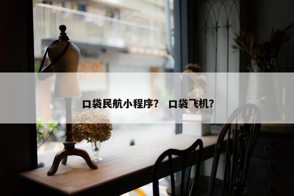 口袋民航小程序？ 口袋飞机？