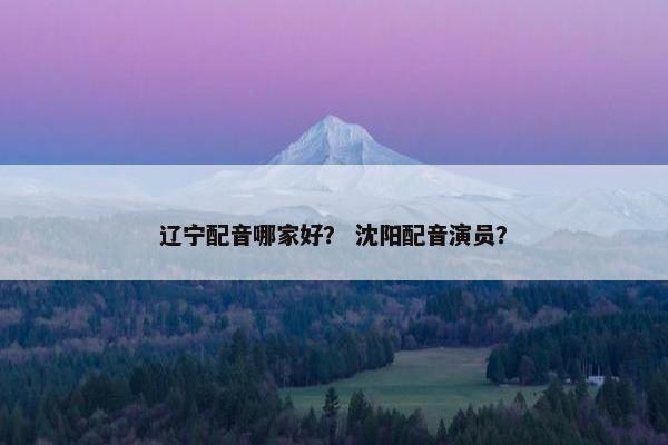 辽宁配音哪家好? 沈阳配音演员? 辽宁配音哪家好? 沈阳配音演员?