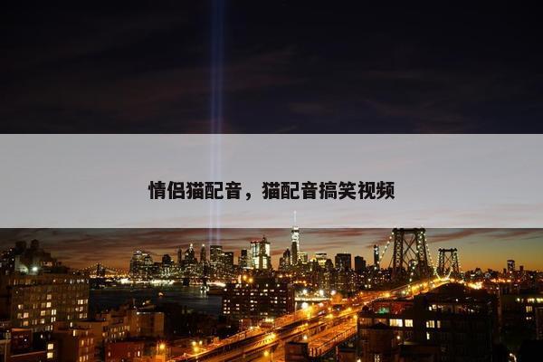 情侣猫配音，猫配音搞笑视频