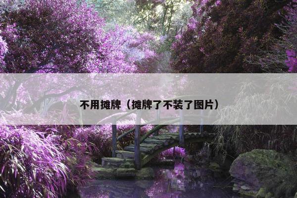 不用摊牌（摊牌了不装了图片）