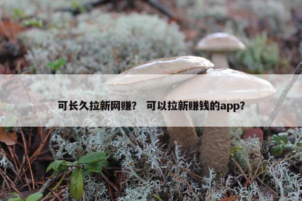 可长久拉新网赚？ 可以拉新赚钱的app？