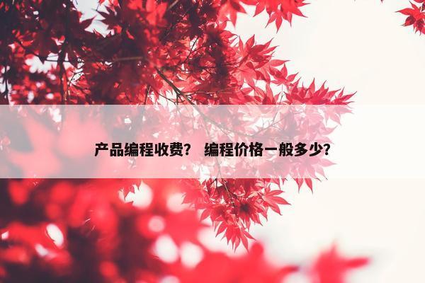产品编程收费？ 编程价格一般多少？
