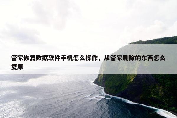 管家恢复数据软件手机怎么操作，从管家删除的东西怎么复原
