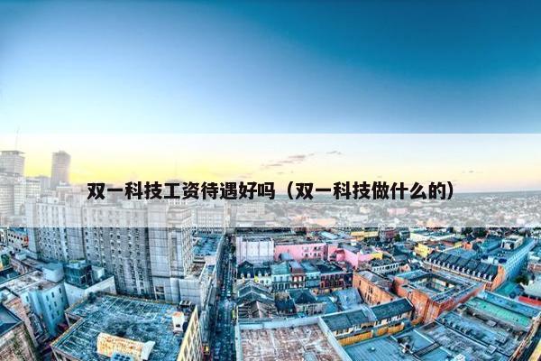 双一科技工资待遇好吗（双一科技做什么的）