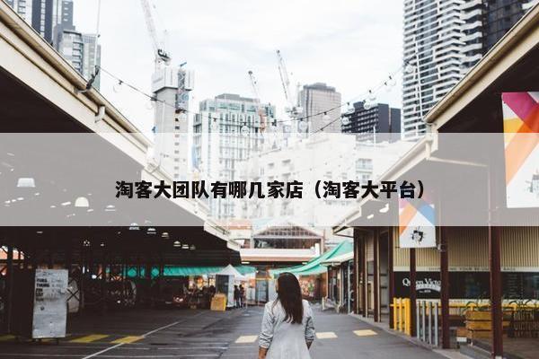 淘客大团队有哪几家店（淘客大平台）