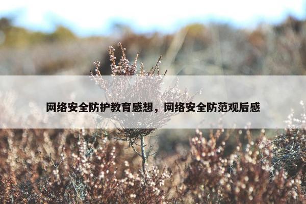 网络安全防护教育感想，网络安全防范观后感