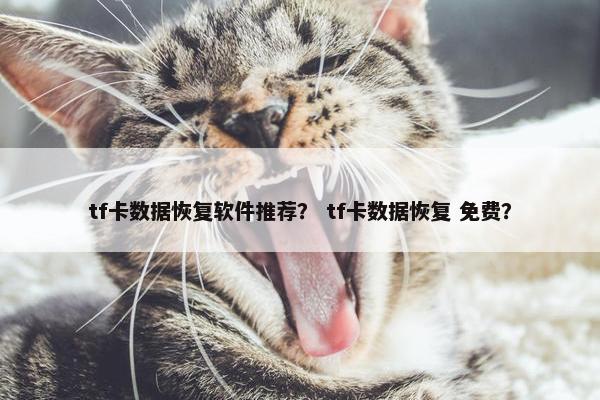 tf卡数据恢复软件推荐？ tf卡数据恢复 免费？