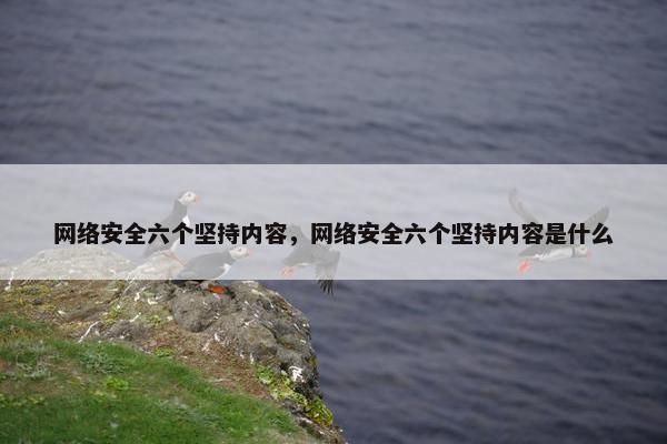 网络安全六个坚持内容，网络安全六个坚持内容是什么