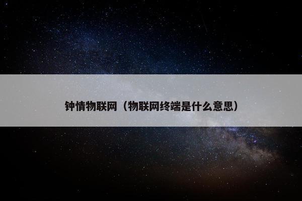 钟情物联网（物联网终端是什么意思）