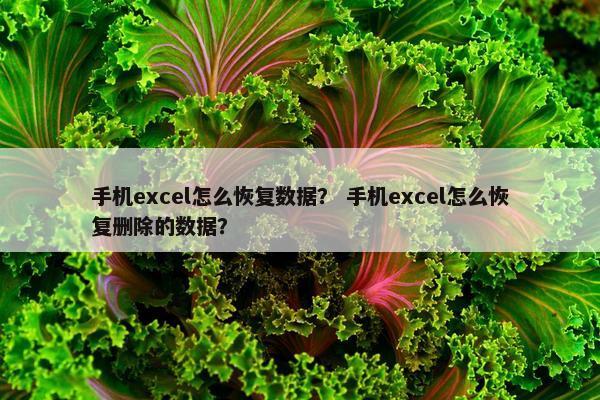 手机excel怎么恢复数据？ 手机excel怎么恢复删除的数据？