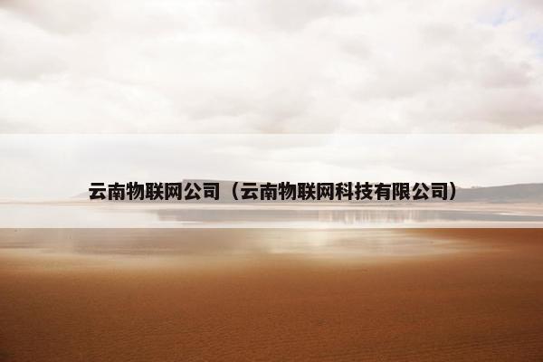云南物联网公司（云南物联网科技有限公司）