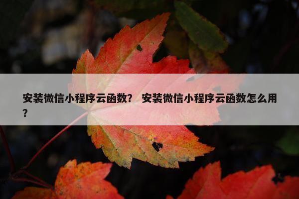 安装微信小程序云函数？ 安装微信小程序云函数怎么用？