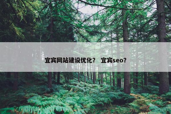 宜宾网站建设优化？ 宜宾seo？