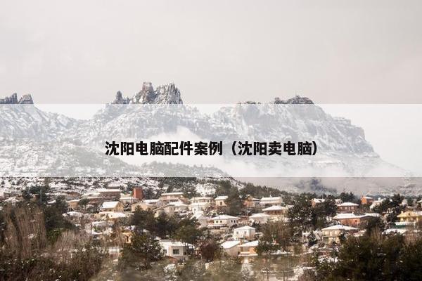 沈阳电脑配件案例（沈阳卖电脑）