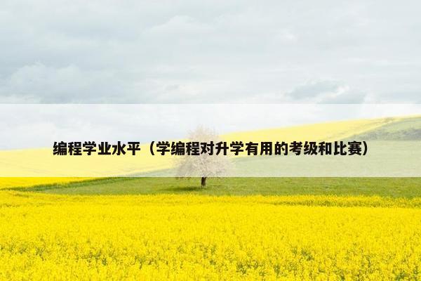 编程学业水平（学编程对升学有用的考级和比赛）