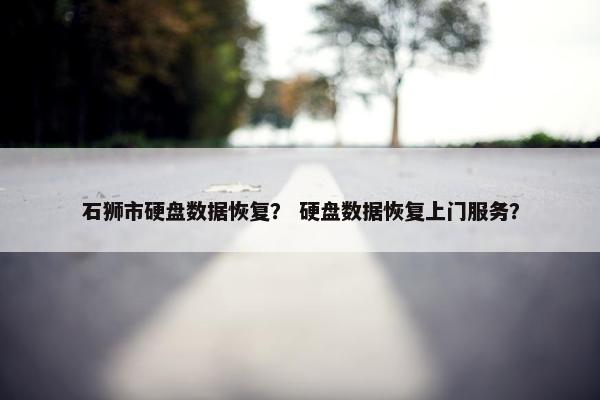 石狮市硬盘数据恢复？ 硬盘数据恢复上门服务？