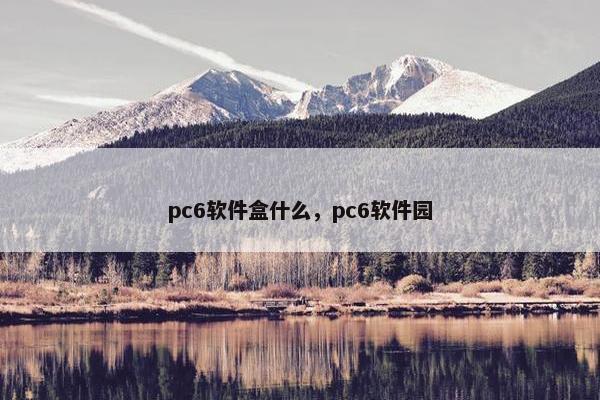 pc6软件盒什么，pc6软件园