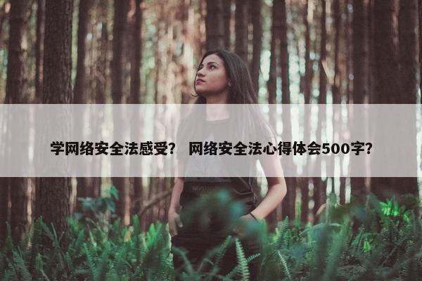 学网络安全法感受？ 网络安全法心得体会500字？