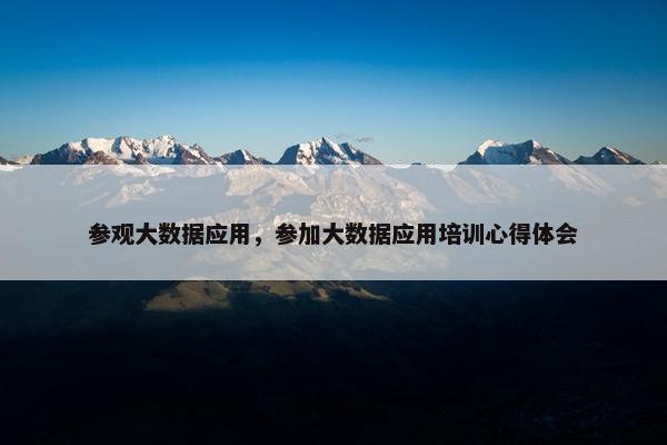 参观大数据应用，参加大数据应用培训心得体会