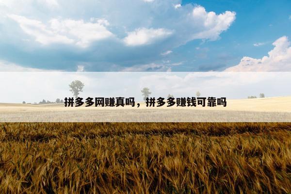 拼多多网赚真吗,拼多多赚钱可靠吗 拼多多网赚真吗,拼多多赚钱可靠吗