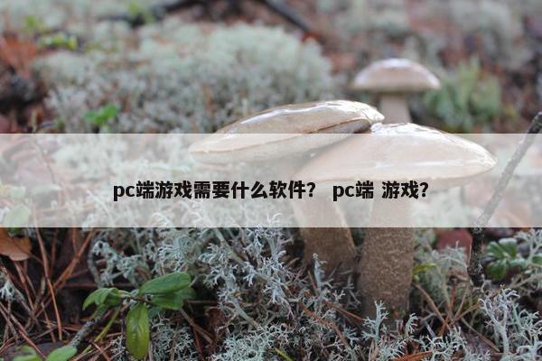 pc端游戏需要什么软件？ pc端 游戏？