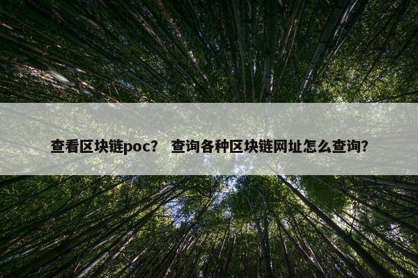 查看区块链poc？ 查询各种区块链网址怎么查询？