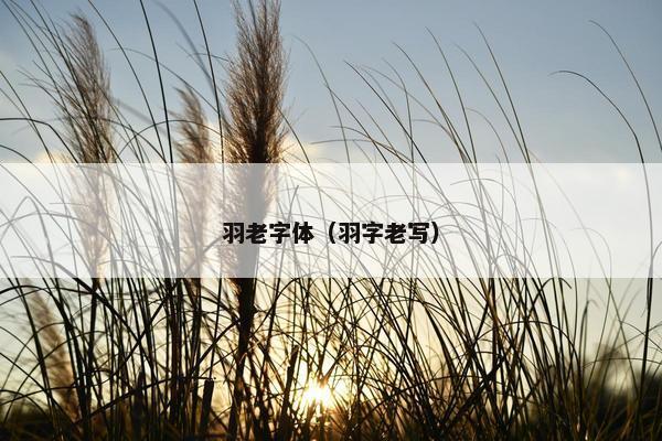 羽老字体（羽字老写）